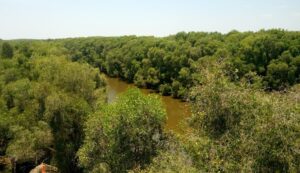 Thuê Xe Du Lịch Tại Đồng Tháp