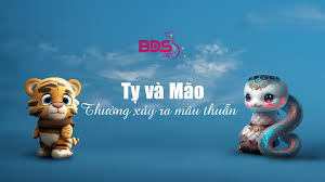 chồng tuổi tỵ vợ tuổi mão có hợp nhau không