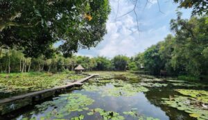 Thuê Xe TPHCM Đi Đồng Tháp