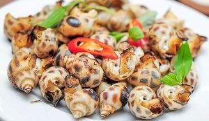 Cách Nấu Ốc Hương Biết Nhẩy – Ngon Chuẩn Vị Biển
