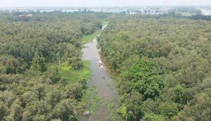 Thuê Xe Vũng Tàu Đi Long An